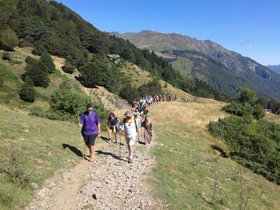 >PEREGRINACION PIRINEOS