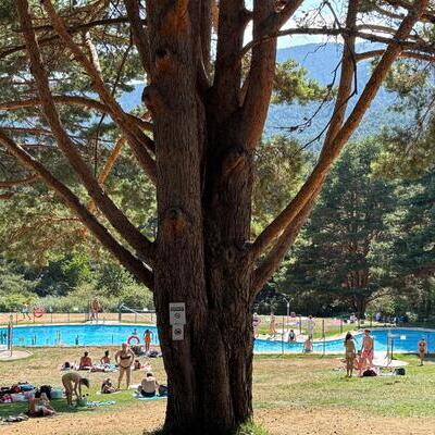Campamento Cercedilla