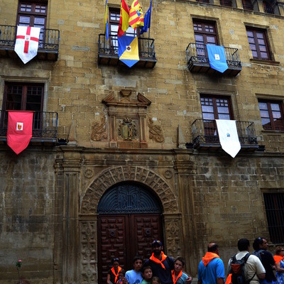 PEREGRINACION PIRINEOS