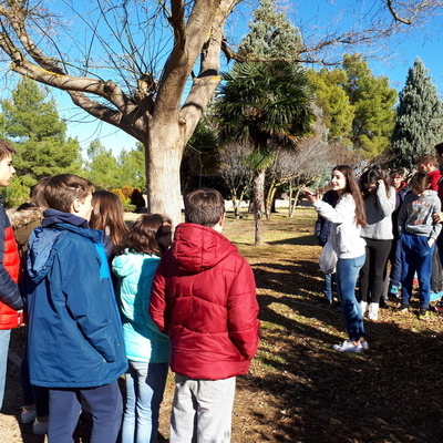  CONVIVENCIA DE JÓVENES EN ALMANSA