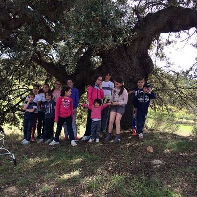 Escuela de familias. Sexta sesión.