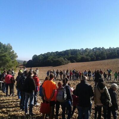 Escuela de familias. Convivencia en el Sahuco