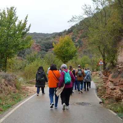 Marcha El Bonillo y Las Lagunas
