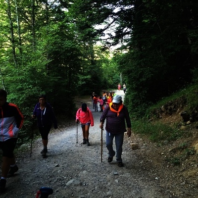 PEREGRINACION PIRINEOS