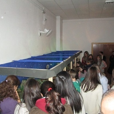 Inauguración Un Belén Solidario
